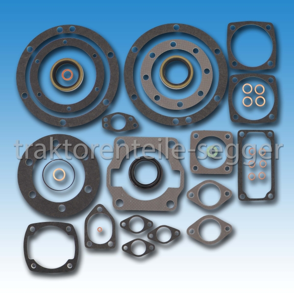 Motordichtsatz Fichtel & Sachs D 600 Holder A 12 B 12 E 12